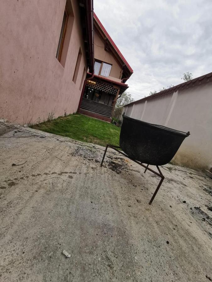 Vila De Vacanta Curtea de Argeş Exteriör bild