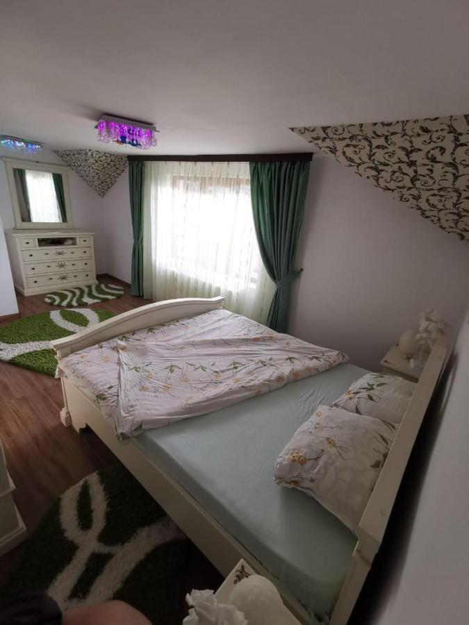 Vila De Vacanta Curtea de Argeş Exteriör bild